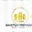 Logo Automobile Excellence Detailing